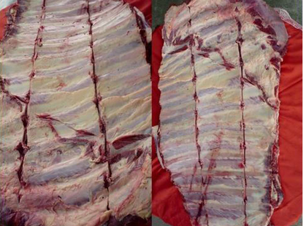 asado-manta
